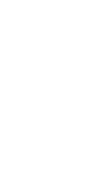 boli3.png