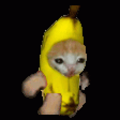 20230413110733_a5b91.gif