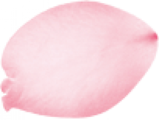 24258_thumb.png