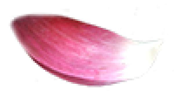 15818_thumb.png