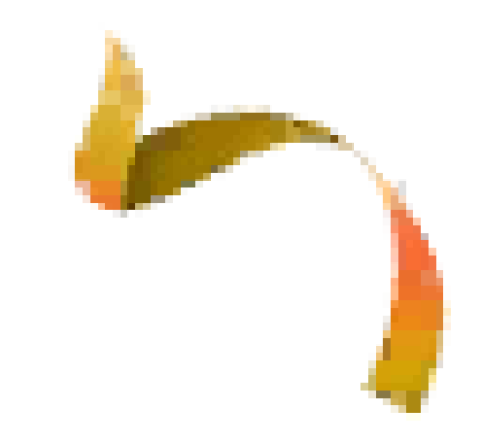 jiangluolizi1.png