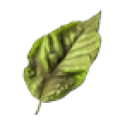 la xanh nho.png