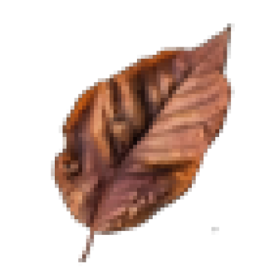 lavangbay.png
