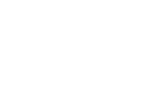 hair_flake_2.png