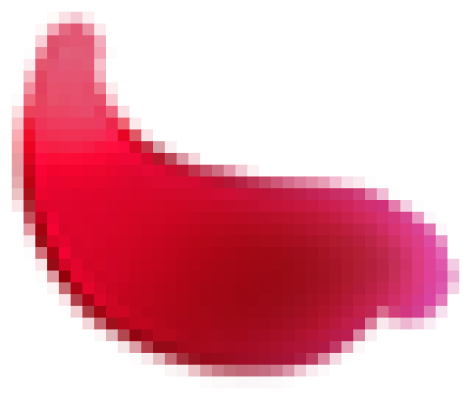 花1.png