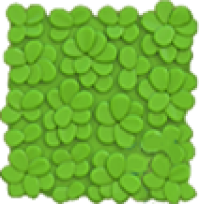 icon_cao_l.png
