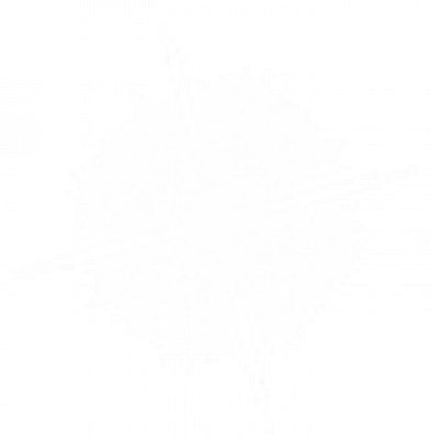 dn_star1.png