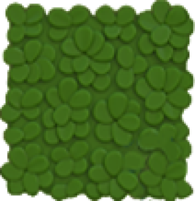 icon_cao_d.png