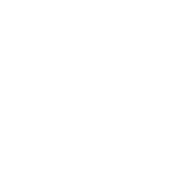 zi.png