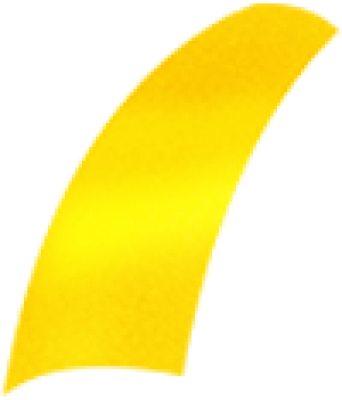 caidai_2.png