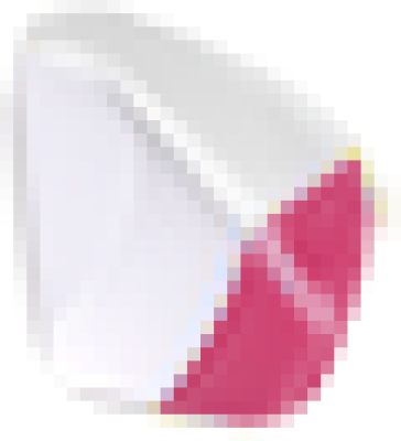 pan2.png
