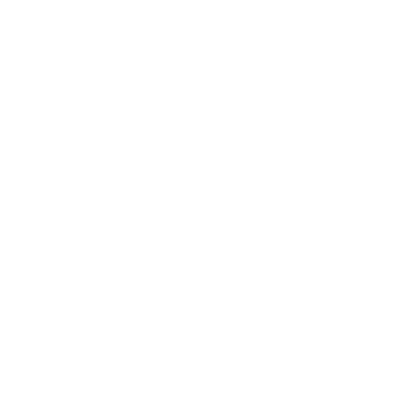 bird.png
