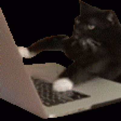 猫meme表情包_爱给网_aigei_com.gif