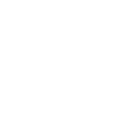 xingxing.png