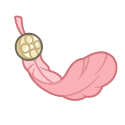 yumao28.png