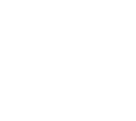 chip_1_1.png