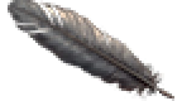 par_feather.png