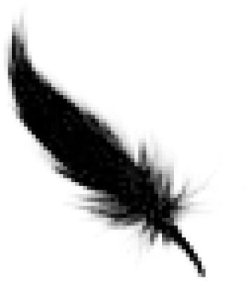 1121.png