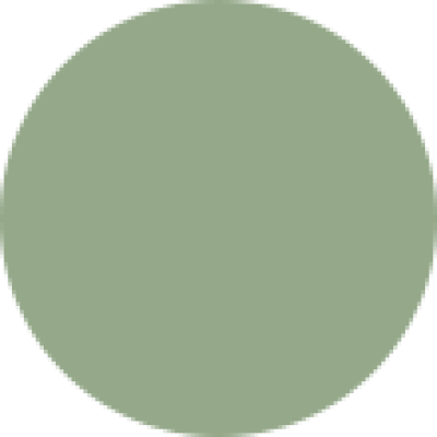 color1.png