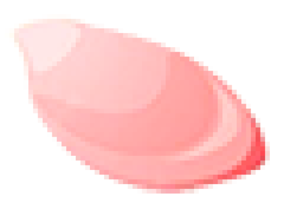 hua.png