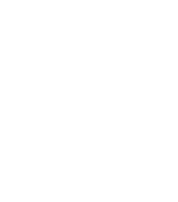 shine_l.png