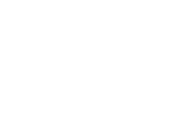 caidai3.png