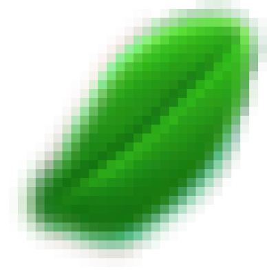 ye1.png