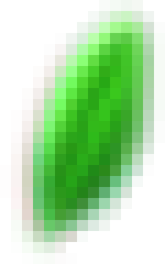 ye2.png