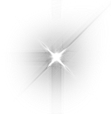 xingxing1.png