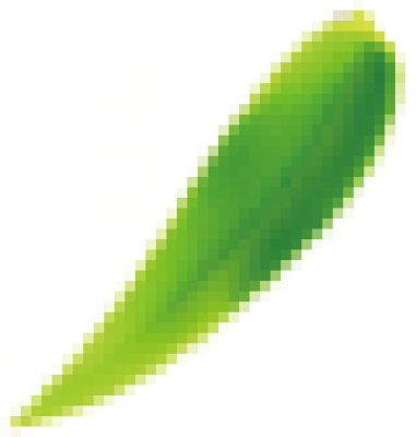 zhuye.png