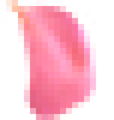h1.png