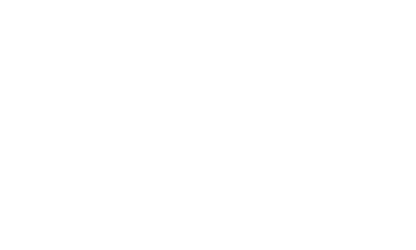 particula_conf.png