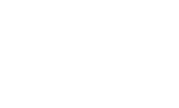 particula_conf_2.png