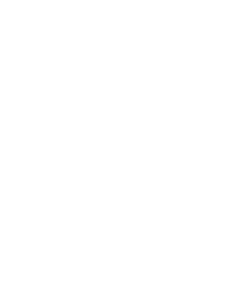 0lizi.png
