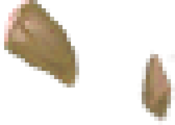 图层 2.png