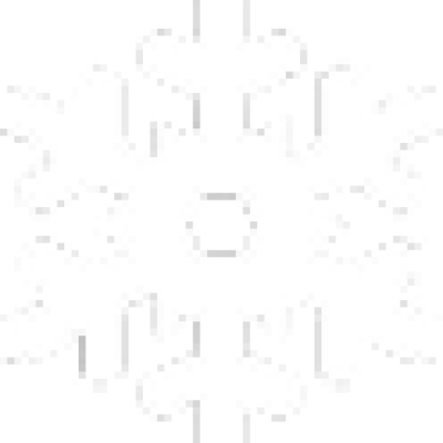 snowflex.png