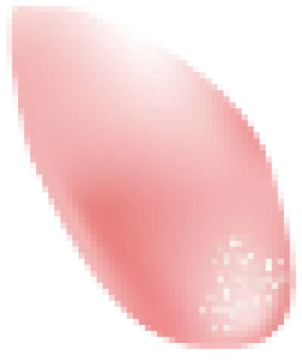 aaaa.png