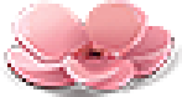 601.png