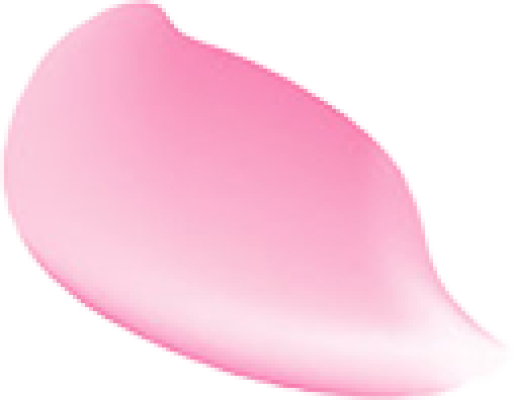 flower.png