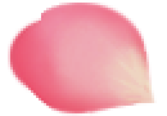 粉-花瓣.png