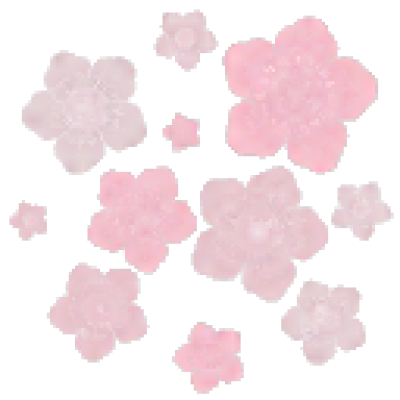 hua2.png
