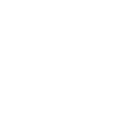 lizi_caidai.png