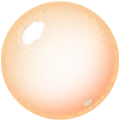 pp3.png