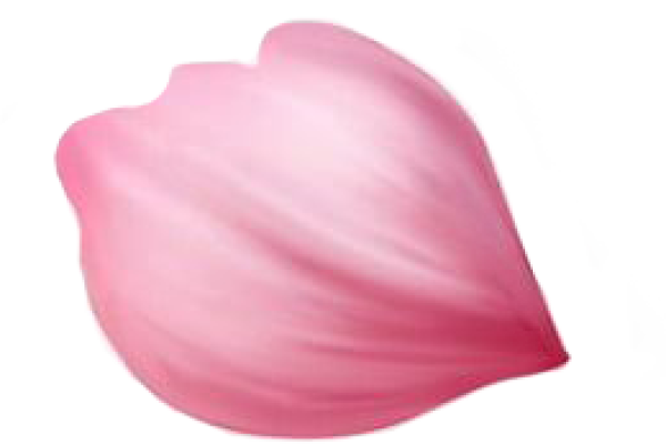 2.png