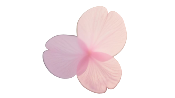 xiaohua.png