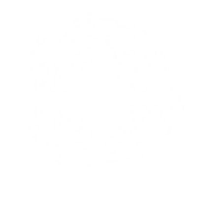 particle_star_white.png