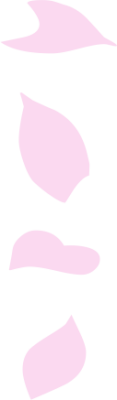 lizi-0011.png