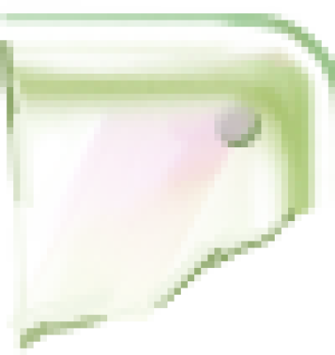 图层 3.png