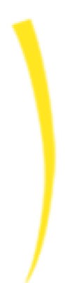 caidai04.png