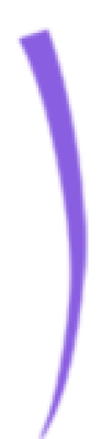 caidai06.png